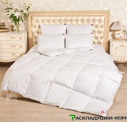 Одеяло Легкие сны Афродита тёплое - 90% пуха, 10% пера - фото 10172