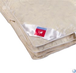 Одеяло Легкие сны Тесса, всесезонное - Пух 2 категории – 80%, ПЭ волокно – 20% 140х205 - фото 38626