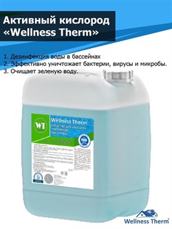 Средство для бассейна «Активный кислород» «Wellness Therm» 20 литров - фото 56094