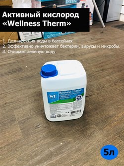 Средство для бассейна «Активный кислород» «Wellness Therm» 5 литров - фото 56101