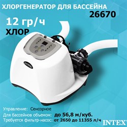 Хлоргенератор Intex 26670  (12 гр/ч)   для бассейна - фото 66999