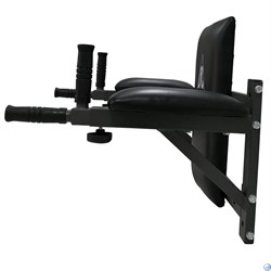 Брусья настенные DFC Homegym G294 - фото 70683