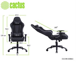 Кресло игровое Cactus CS-CHR-030BLS цвет: черно-серебристый, обивка: эко.кожа, крестовина: металл пластик черный - фото 75019