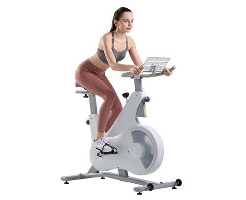 Спин-байк DFC OVICX B-Q210W - фото 86533