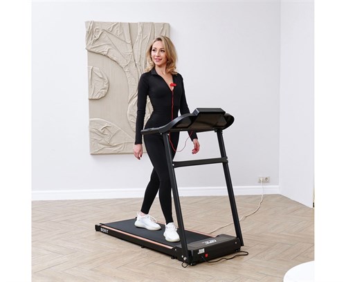 Беговая дорожка DFC BERIT T-107 - фото 86881