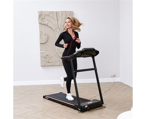 Беговая дорожка DFC BERIT T-107 - фото 86884