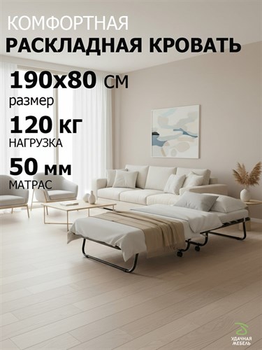 Раскладушка Даметекс Виктория 800 М (80х190х26) 2404