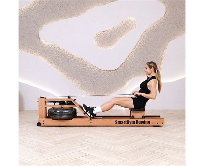 Гребной тренажер DFC SmartGym WR-02 25211