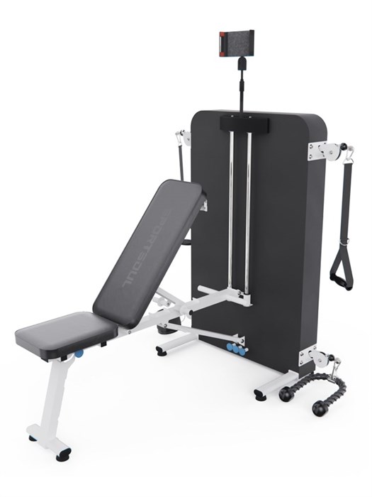 Силовой комплекс со скамьей DFC SPORTSOUL GWY009 25614