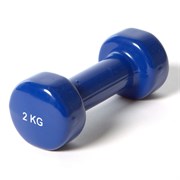 Гантель виниловая "York" 2.0 кг (синяя) B31385 DB100