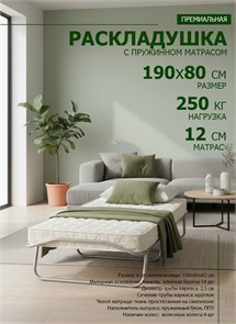 Раскладушка с пружинным матрасом 12 см, на ламелях,  размер 198 х 80 см / Жуковка New 11330