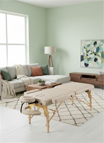 Массажный стол DFC PROFI2 TS212H складной / 220 х 90 х 88 см 25196