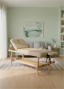 Массажный стационарный стол DFC SUPERIOR2 TS200/2 с регулировкой для спины/ног / 192х71х88 см 25199