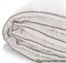 Одеяло Легкие сны Элисон теплое - микроволокно "Лебяжий пух" 172х205 - фото 10397