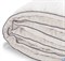 Одеяло Легкие сны Элисон теплое - микроволокно "Лебяжий пух" - 100% - фото 38670