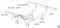 Раскладушка Даметекс Эльвира с матрасом  (199.5х90х44)+чехол - фото 41215