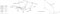 Раскладушка Даметекс Элеонора-М с матрасом  (200x90x43см) ОРЕХ - фото 41354