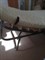 Раскладушка с матрасом Аврора с рег.  подголовником (200x80x39) - фото 59725