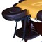 Массажный стол DFC NIRVANA, Relax, дерев. коричн.ножки, цвет горчичный с коричневым TS20112_MB - фото 69853