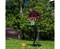 Мобильная баскетбольная стойка DFC KIDSC 80 х 58 см - фото 74813
