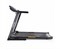 Беговая дорожка DFC LONGTEK T-X510G - фото 87149