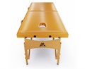 Массажный стол DFC NIRVANA, Relax, дерев. ножки, цвет горчичный (Mustard) TS20111_M / 186х70х84 см 16967