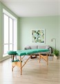 Массажный стол DFC NIRVANA, Optima, дерев. ножки, цвет зеленый (Green), TS20110S_Gr / 213х81х83 см 17589