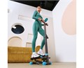 Мини степпер с поручнем DFC SKY FITNESS SFSH100-A 25222