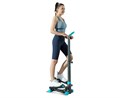 Мини степпер с поручнем DFC SKY FITNESS SFSH100-A 25222