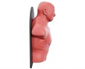 Настенный боксерский манекен WALL-MOUNTED PUNCHING MAN TLS-W 25263