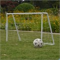 Ворота DFC GOAL120 120 х 80 х 55 см 17254