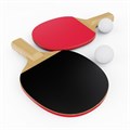 Теннисный стол DFC RQ24002, размер по стандарту ITTF 274 x 152, с сеткой и ракетками 25299