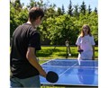 Теннисный стол DONIC Tornado-AL-Outdoor, 4 мм, синий TOR-AL 17734