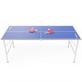 Теннисный стол DFC RayChee 60" 150 x 67 см RQ23001-PP 25301