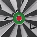 Дартс DFC METAL двусторонний 45 см, 6 дротиков DAR2018D 25373