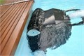 Проводной робот-пылесоc Aquaviva 7310-HT Black Pearl - Пенные валики ; про -ть 14 м3/ч / 7310-HT 25369