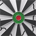 Дартс DFC PRINT двусторонний 45 см, 6 дротиков DAR2218D 25372