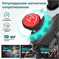 Спин-байк DFC PASYOU / магнитный, до 135 кг 25444