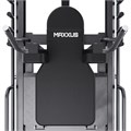 Жим ногами DFC MAXXUS GSMX-600023-00019-0001 25581