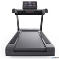 Беговая дорожка DFC ORION T790 PRO 25748