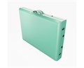 Массажный стол DFC NIRVANA, Optima, дерев. ножки, цвет зеленый (Green), TS20110S_Gr / 213х81х83 см 17589